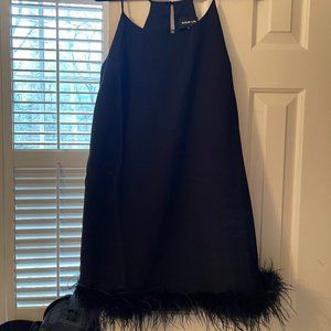 Black Feather Dress